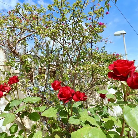 Primavera Villa Castel Volturno