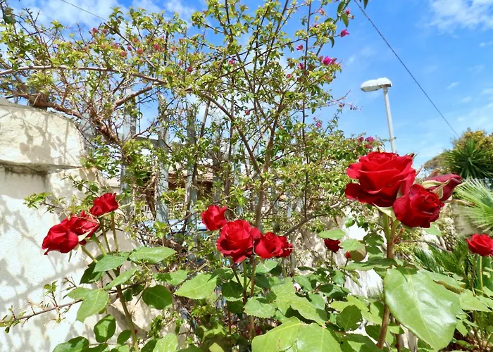 Primavera Villa Castel Volturno